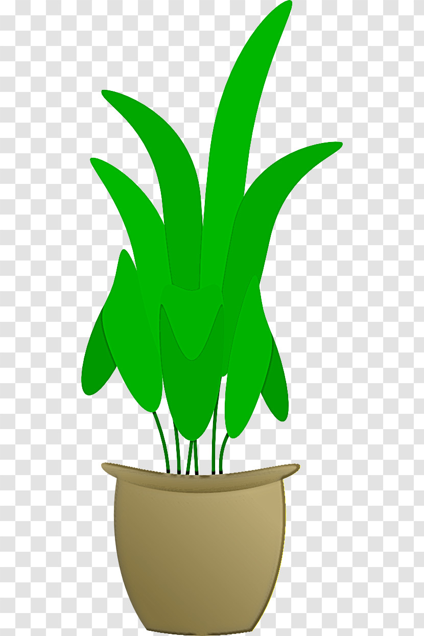Green Leaf Plant Houseplant Flowerpot Transparent PNG