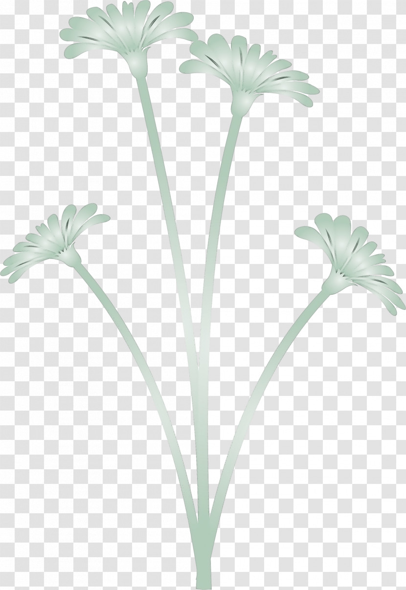 Dandelion Flower Transparent PNG