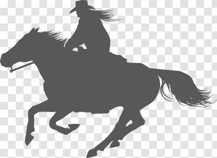 Equestrian American Quarter Horse Stallion English Riding Dressage - Bridle Transparent PNG
