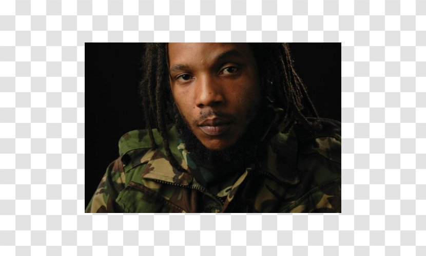 Matisyahu & Stephen Marley: Strength To Tour Orpheum Theater Rialto Theatre Reggae - Tree - Marley Transparent PNG