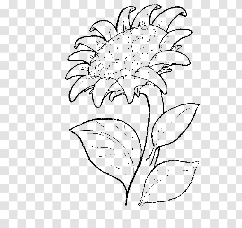 Drawing Coloring Book Common Sunflower Painting - Flower Transparent PNG