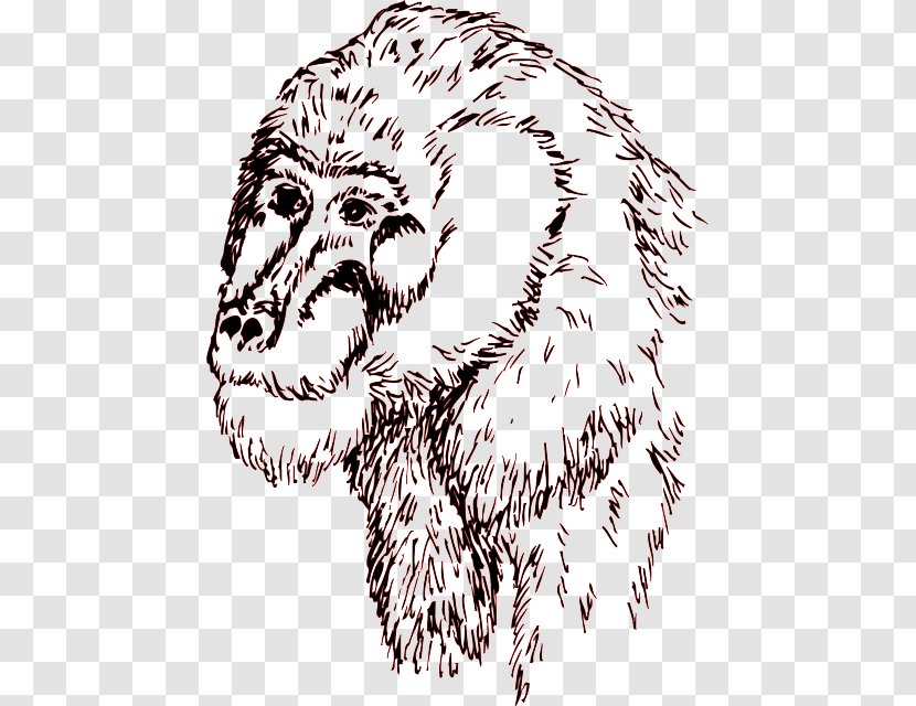 Dog Common Chimpanzee Drawing - Silhouette Transparent PNG