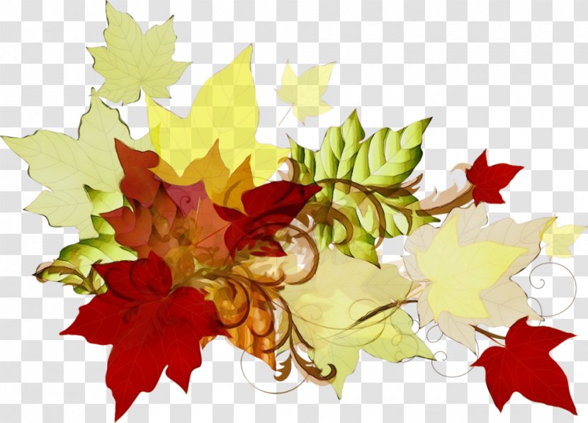 Autumn Leaves Watercolor - Wet Ink - Planetree Family Silver Maple Transparent PNG