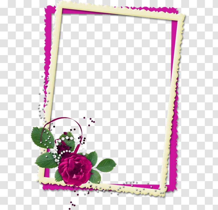 Picture Frames Cuadro Pattern - Red - Hochzeit Transparent PNG