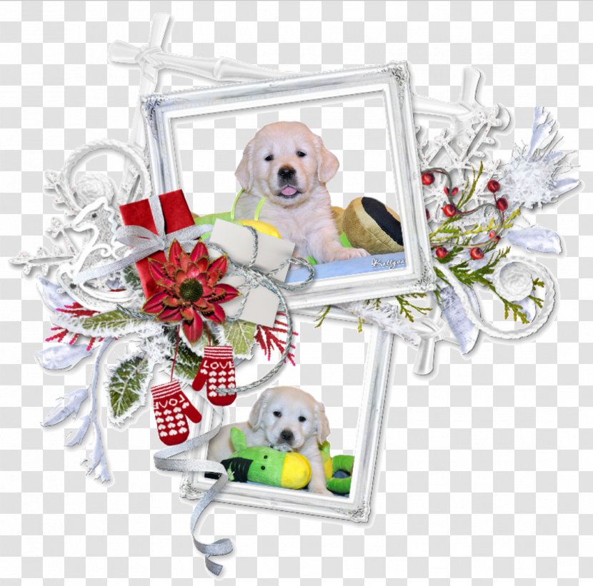 Puppy Centerblog Christmas Message - Information Transparent PNG