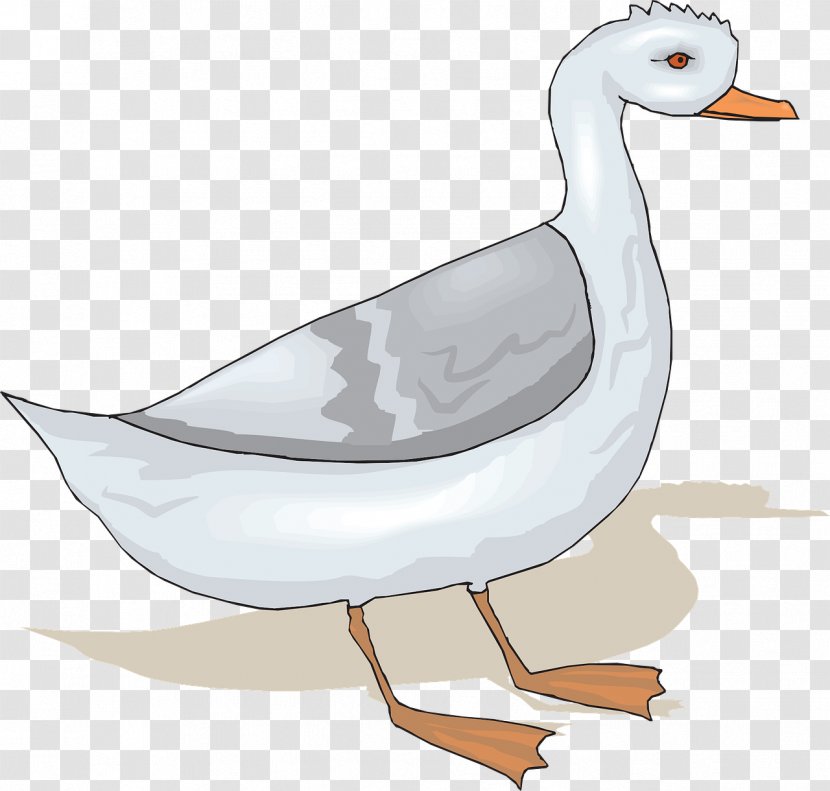Goose Bird Clip Art - Vertebrate - Gray Duck Transparent PNG