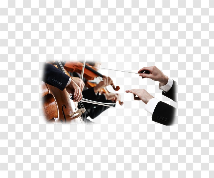 Violin Cello Viola Musical Instruments Musician - Instrument Transparent PNG