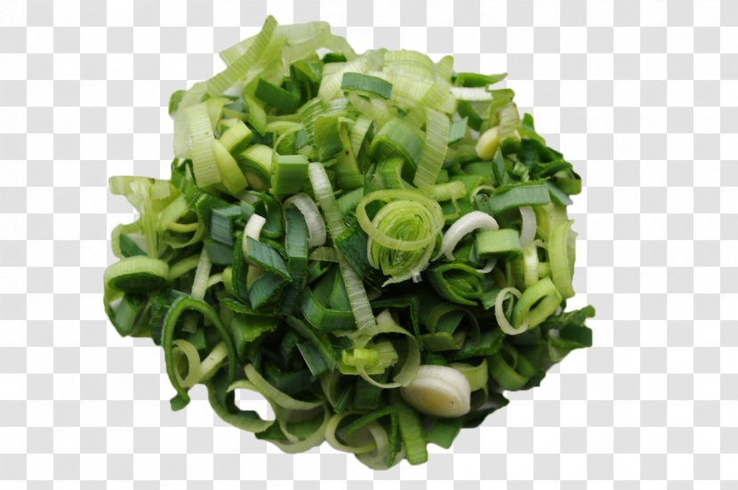 Leek Onion Garlic Vegetable Food - Chopped Green Transparent PNG