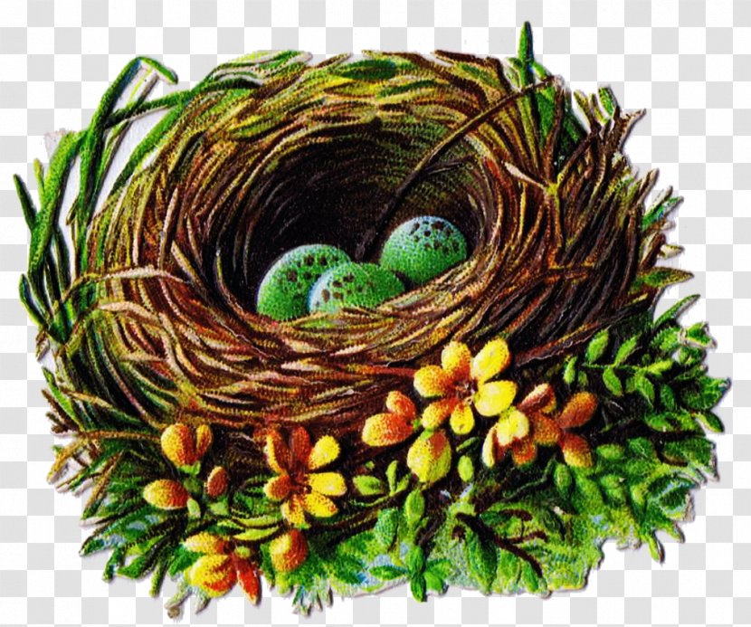 Bird Nest Clip Art Transparent PNG