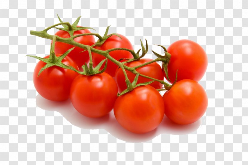 Cherry Tomato Bruschetta Beefsteak Vegetable Variety - Salad - Tomatoes Transparent PNG