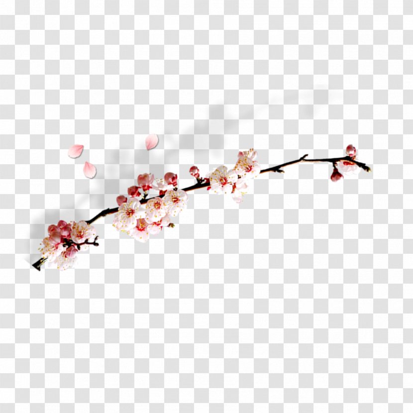 Computer File - Red - Plum Branches Transparent PNG