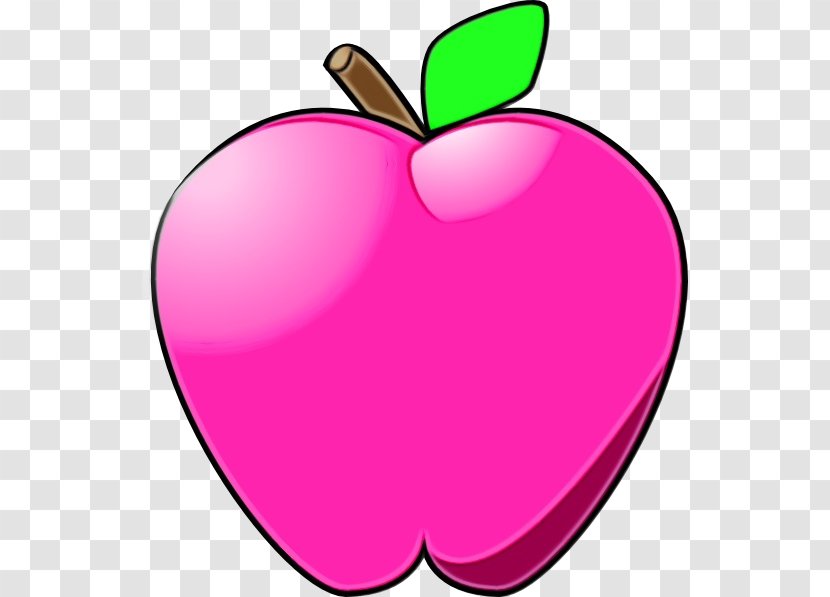 Clip Art Pink Apple Fruit Plant - Mcintosh - Malus Magenta Transparent PNG