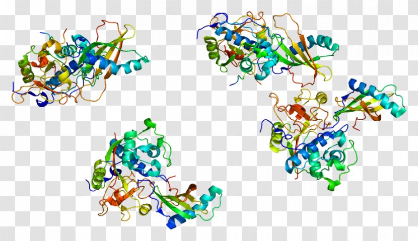 Cathepsin H G Protein Enzyme Inhibitor - Protease - Technology Transparent PNG