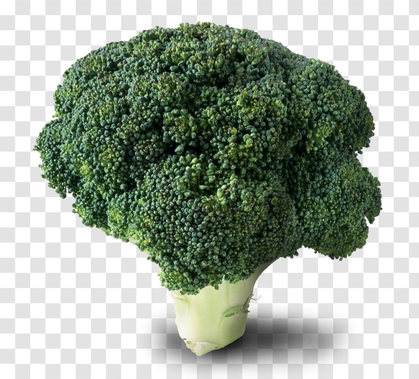 ABC Lavpris Broccoli Cruciferous Vegetables Food - Cabbage Family Transparent PNG