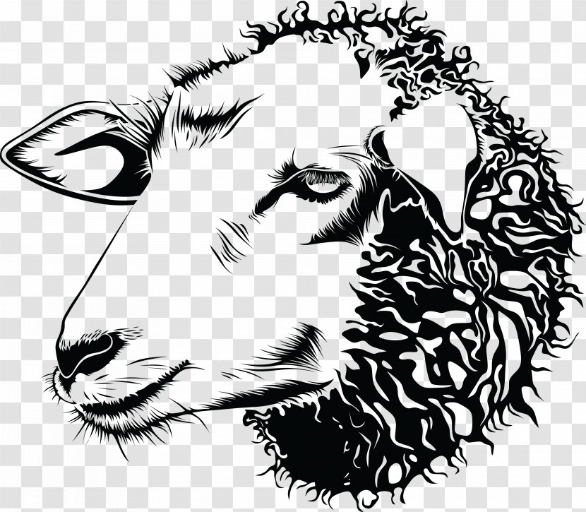 Sheep Goat Drawing Line Art Clip - Vertebrate Transparent PNG