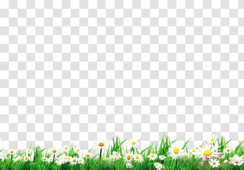 Lawn Green Download Wallpaper - Pixel - Grass And White Flowers Transparent PNG