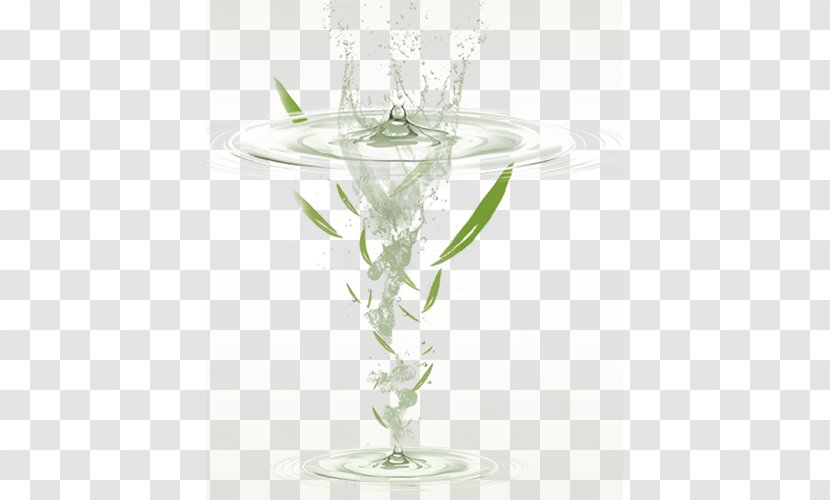 Leaf Euclidean Vector - Resource - Water Leaves Transparent PNG