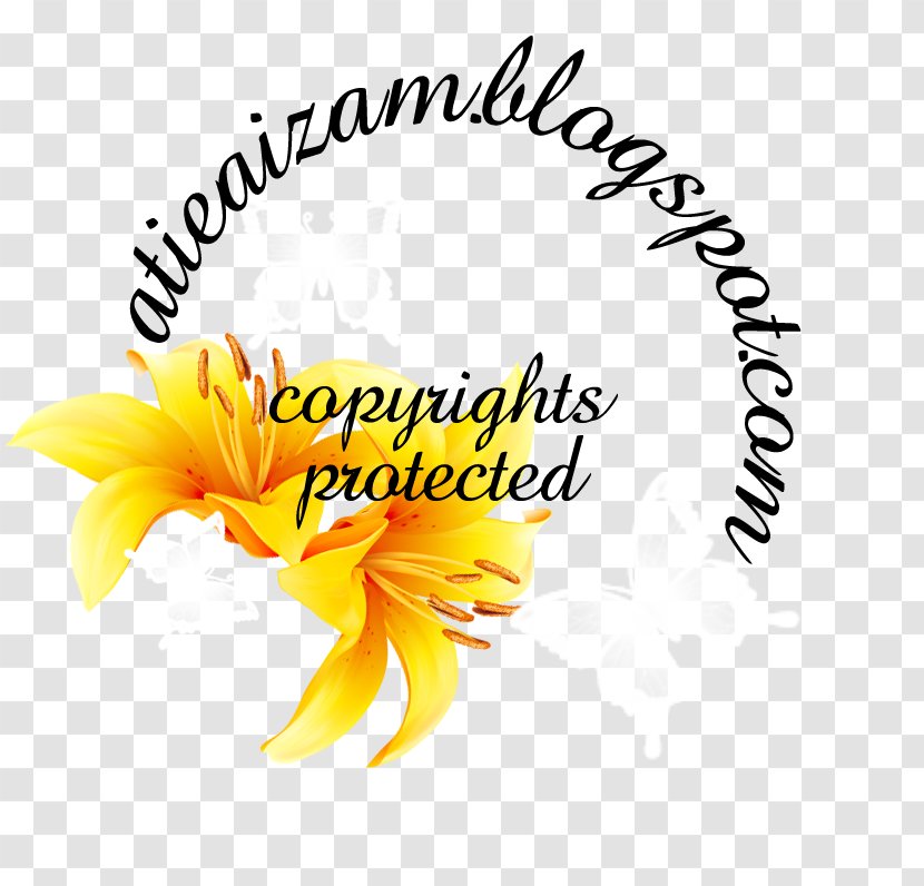 Common Sunflower Subiaco Cut Flowers Line Clip Art - Flower Transparent PNG