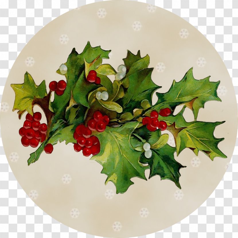 Holly - Dishware - Hawthorn Branch Transparent PNG