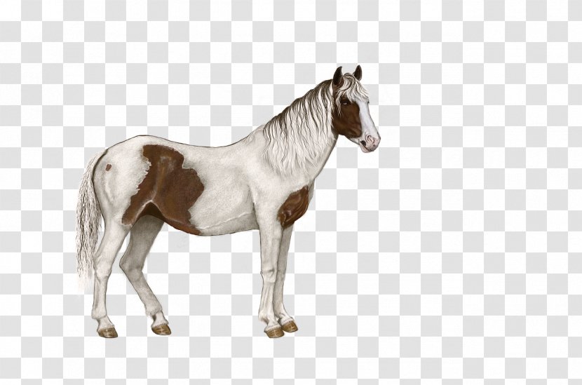 Horse Rein Foal Colt Halter - Like Mammal Transparent PNG
