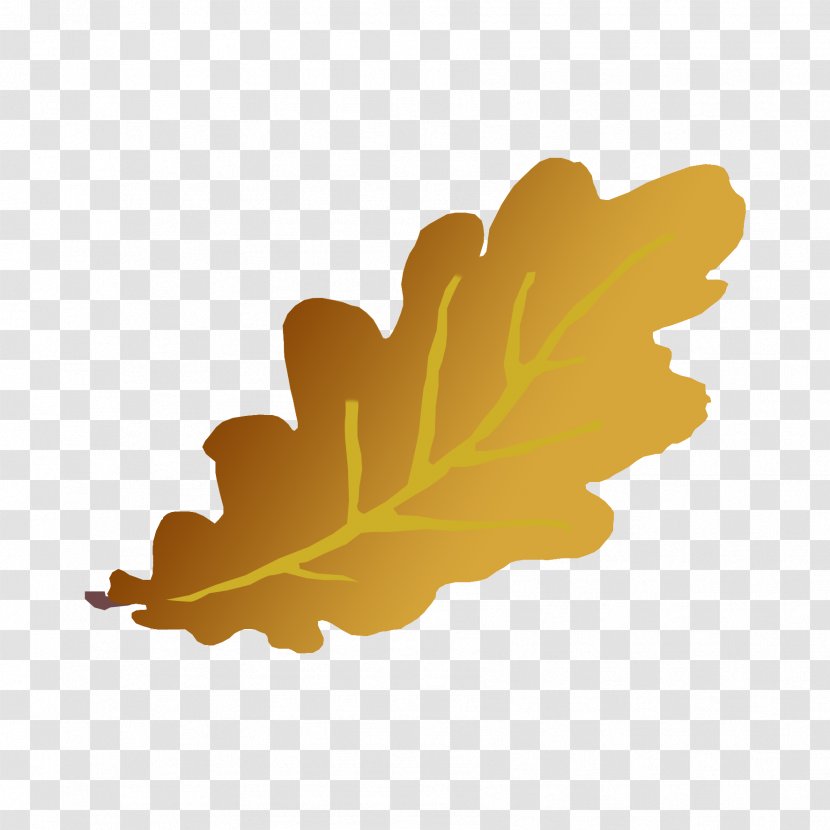 Leaf Drawing Abscission Photography Clip Art - Tree - Yellow Autumn Leaves Transparent PNG