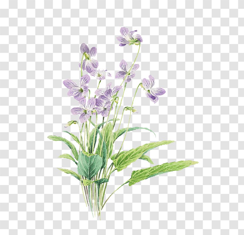 Small Fresh Purple Painted Flowers - Flower Bouquet - Ha Transparent PNG