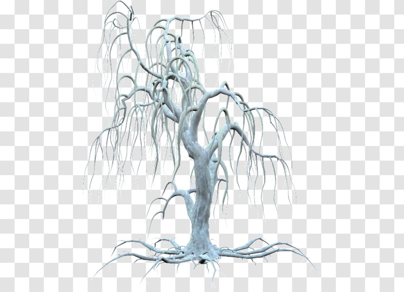 Twig Tree Trunk - Flower Transparent PNG