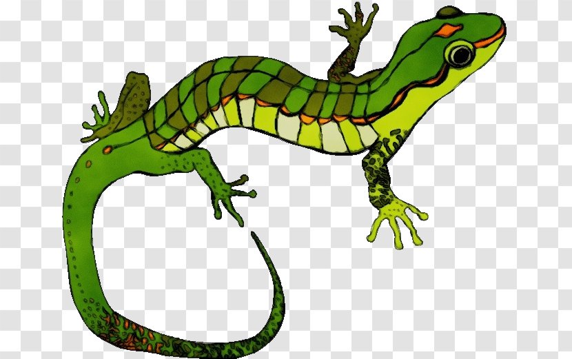 Reptile Lizard Terrestrial Animal Green Gecko - Figure - Scaled Transparent PNG
