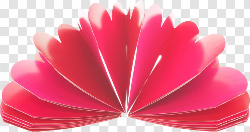 Magenta Petal - Design Transparent PNG