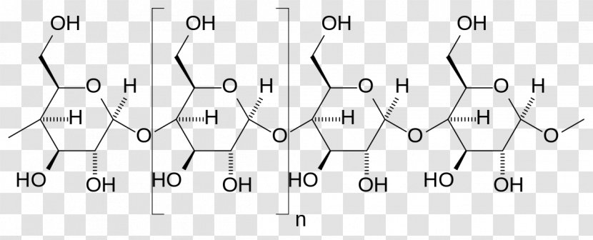 Amylose Starch Glucose Amikinos Polysaccharide - Symmetry - Amylopectin Transparent PNG