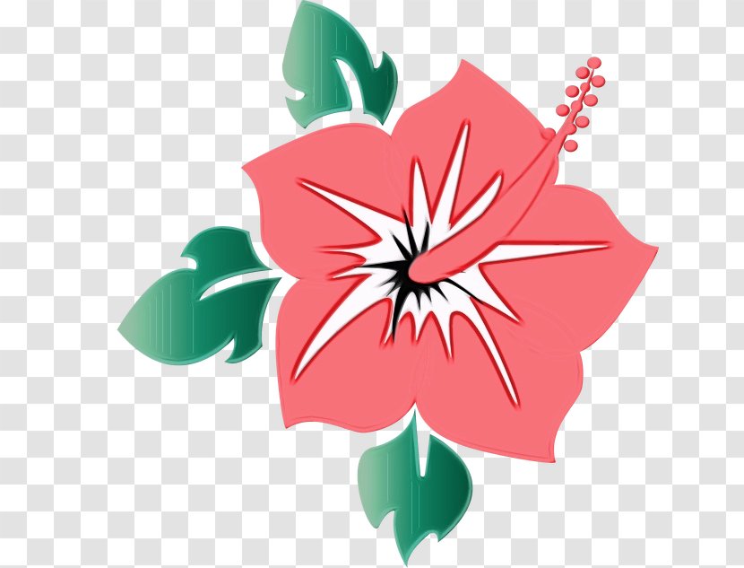 Hibiscus Hawaiian Flower Plant Petal - Flowering Transparent PNG