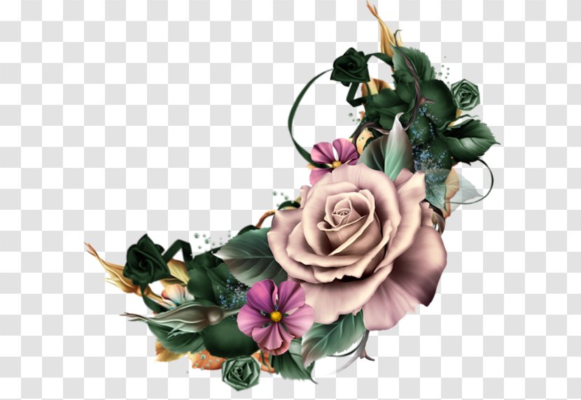 Garden Roses Flower Floral Design Clip Art - Floristry - Moonbeam Transparent PNG
