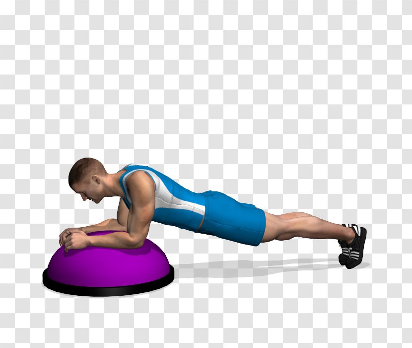 Pilates Medicine Balls Plank BOSU Abdomen - Tree - Exercise Transparent PNG