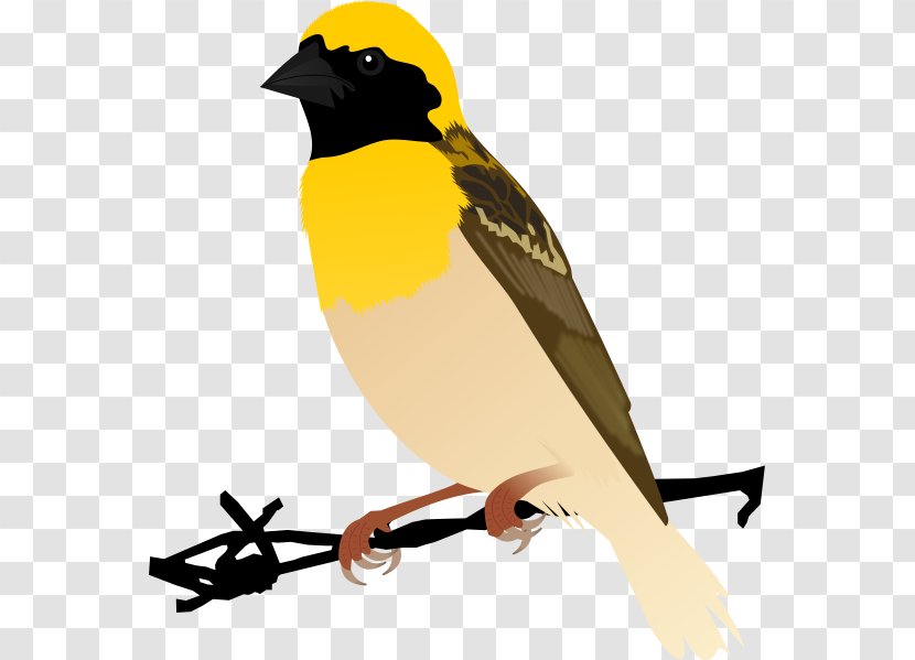 Bird House Sparrow Finch Baya Weaver - Watercolor Transparent PNG