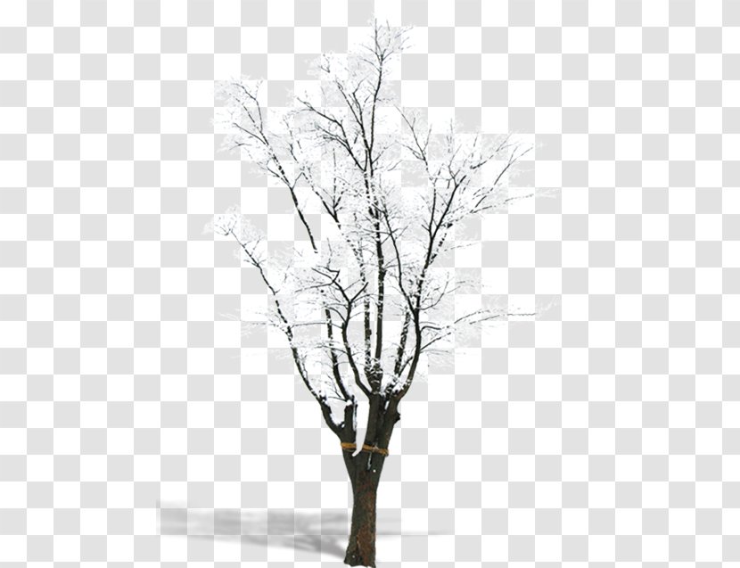 Snow Branch Tree - Winter - Trees Transparent PNG