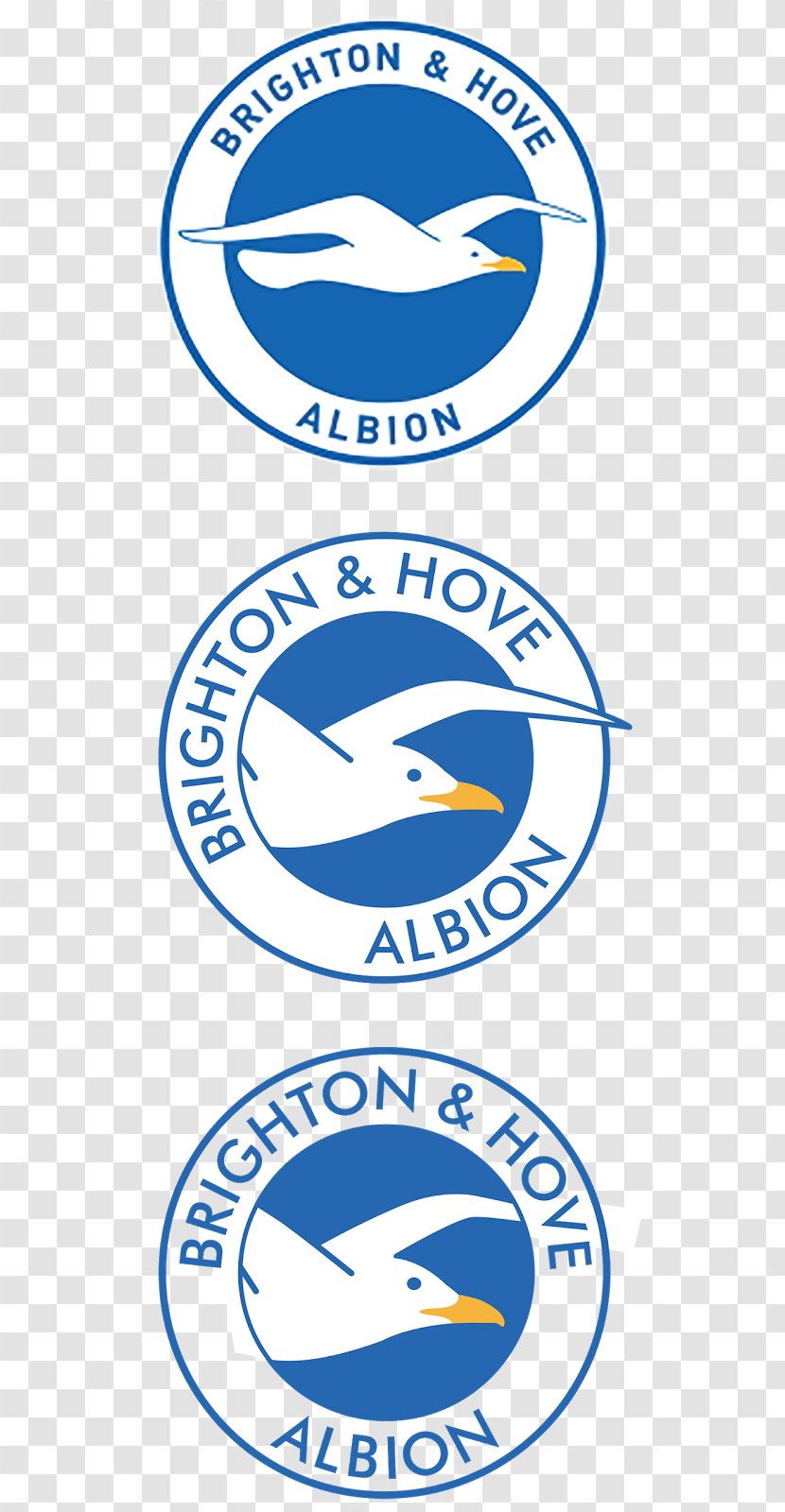 Brighton & Hove Albion F.C. Logo Trademark Brand - Limited Company - Hole In The Wall Transparent PNG