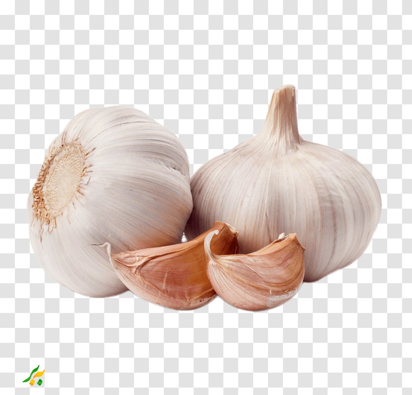 Garlic Shallot Vegetable Spice Food - Leek Transparent PNG