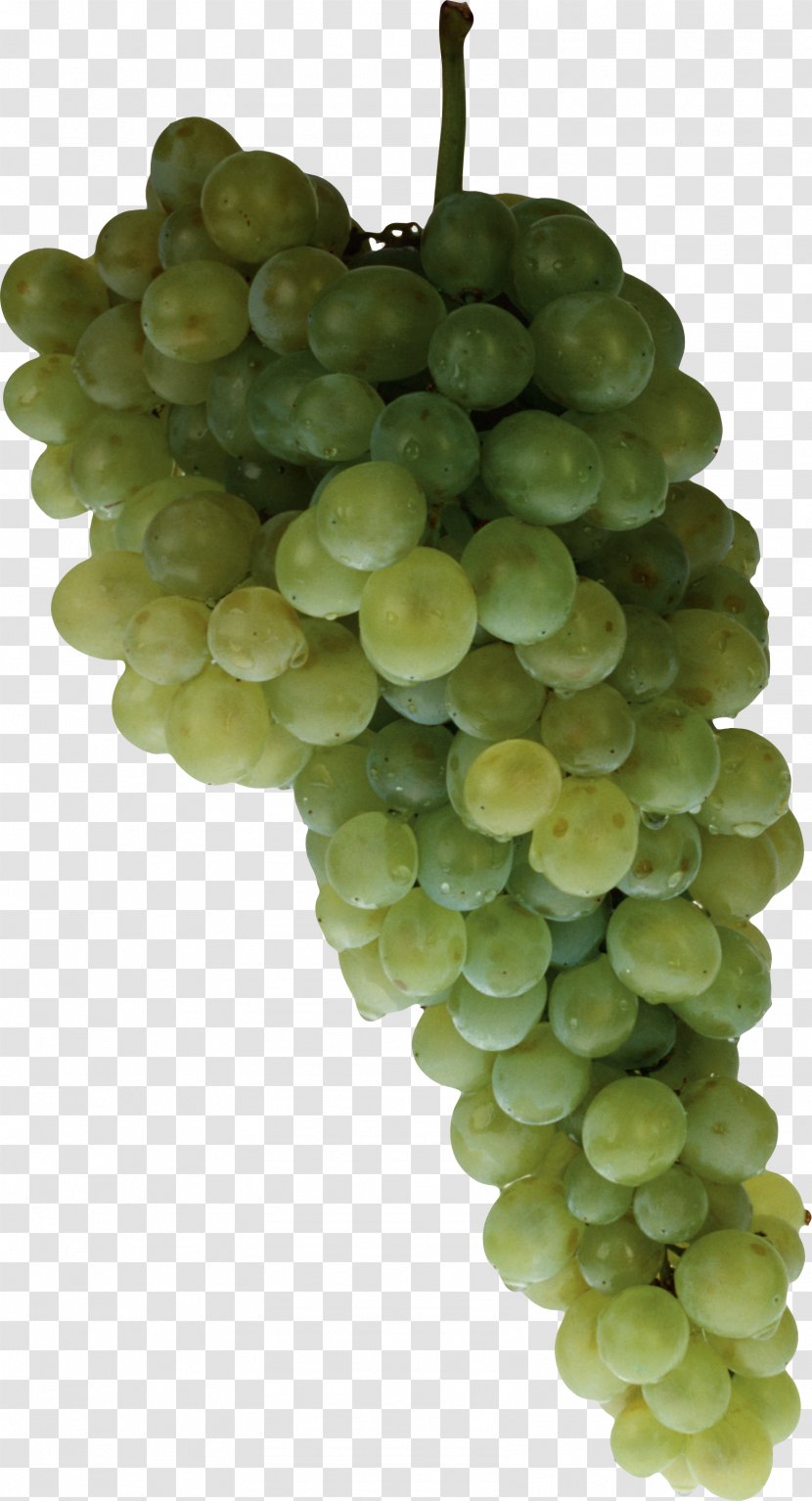 Sultana Juice Grape Seedless Fruit - Green Image Transparent PNG