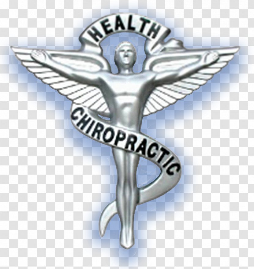 Chiropractic Chiropractor Health Care Health, Fitness And Wellness - Joint Transparent PNG