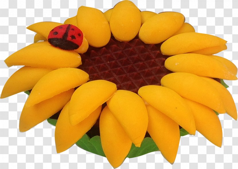 Fruit - Yellow - Sunflower Cupcakes Transparent PNG
