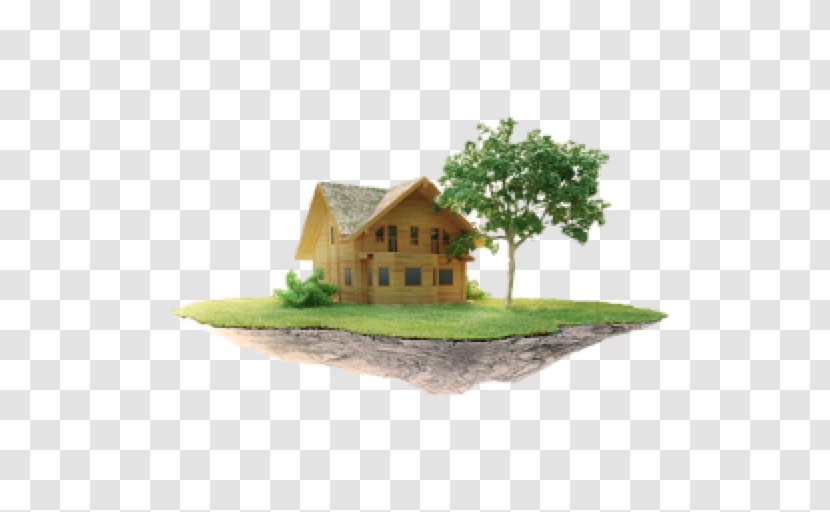 Home House Chris Hair Concept - Meaning Transparent PNG