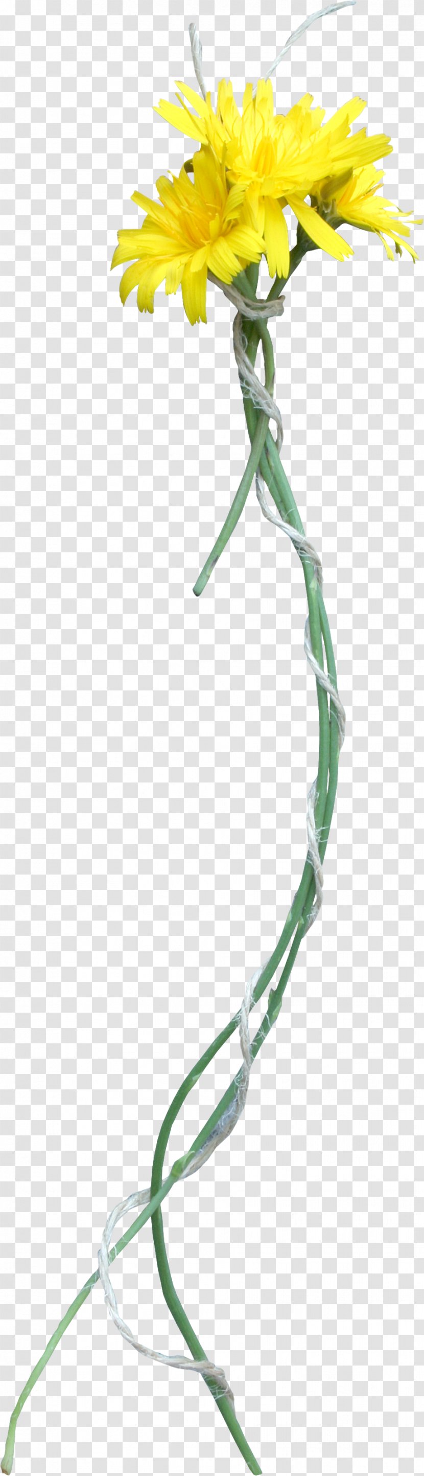 Flower Bouquet Nosegay - Branch Transparent PNG