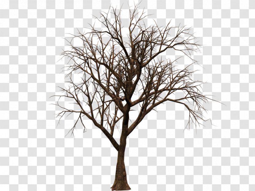Tree Computer Software Clip Art - Black And White - Hand Painted Transparent PNG