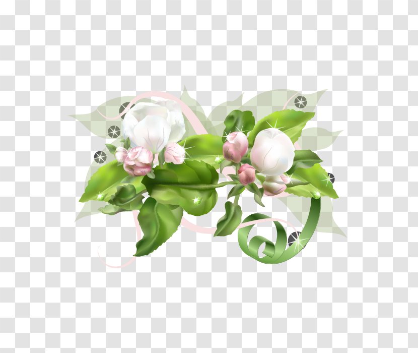 Flower - Floral Design - Vector Transparent PNG