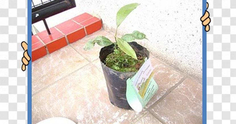 Flowerpot Plastic Leaf Houseplant Transparent PNG