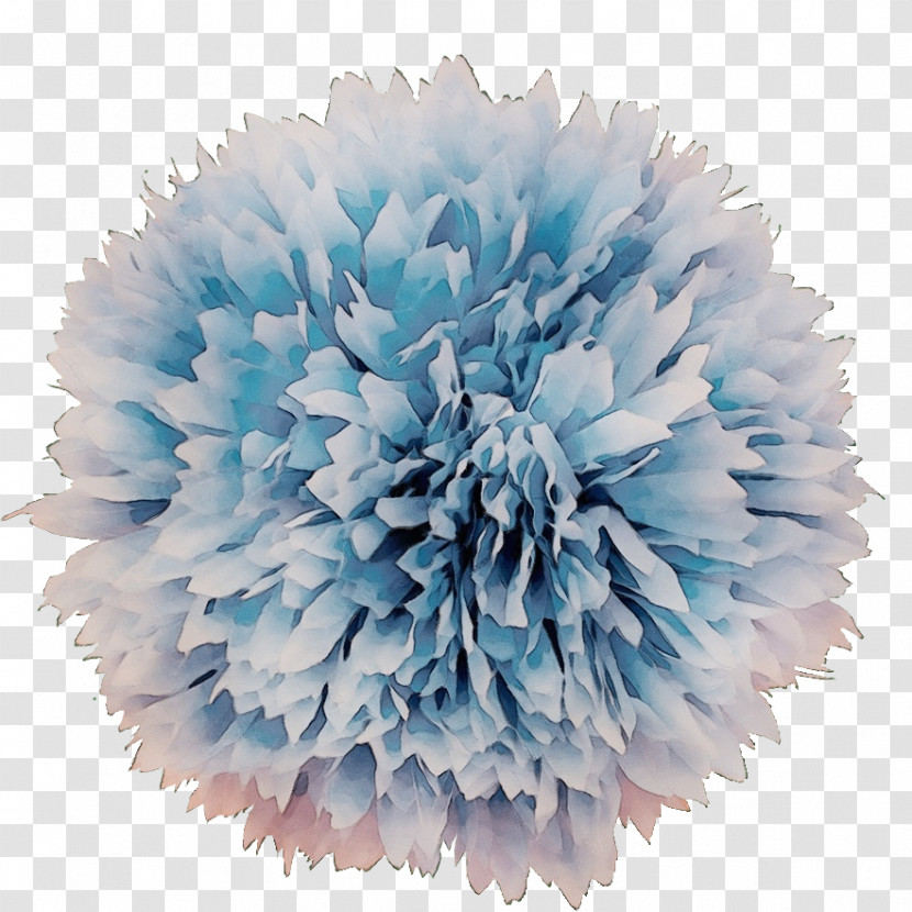 Cut Flowers Pom-pom Flower Transparent PNG