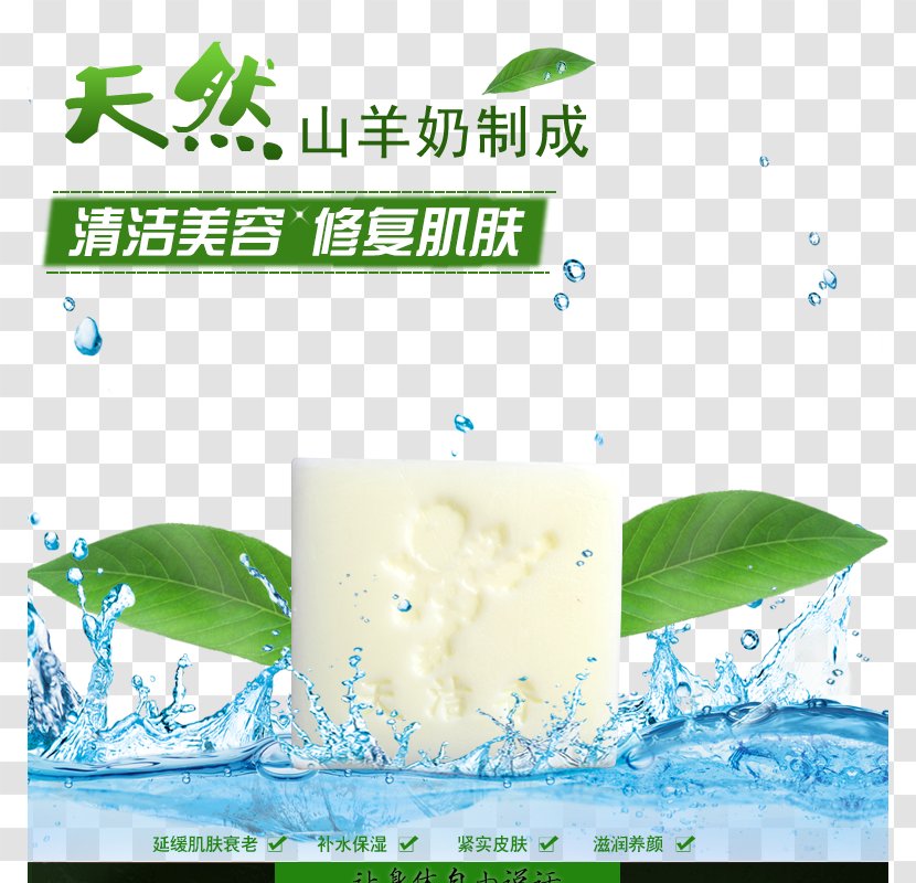 Goat Soap Bubble Sheep Milk - Dishwashing Liquid Transparent PNG