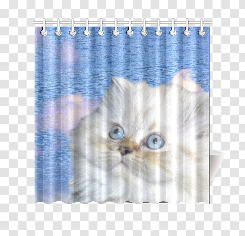 Cat Kitten Textile Curtain Douchegordijn - Water Transparent PNG