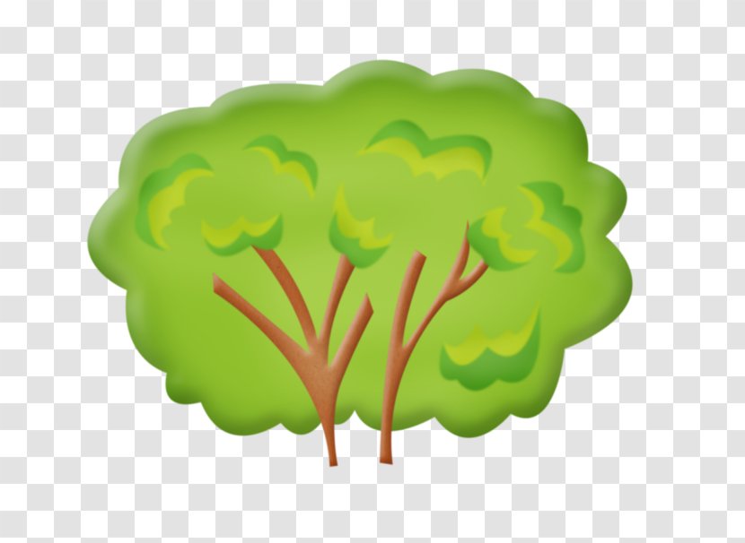 Tree Spruce Drawing Clip Art - Leaf Vegetable Transparent PNG