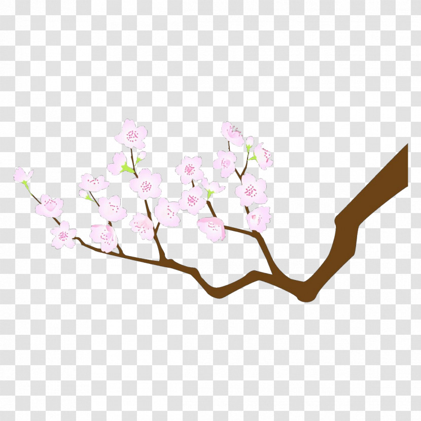 Cherry Blossom Transparent PNG